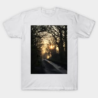 Oh what a beautiful morning. T-Shirt